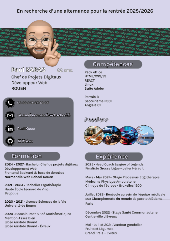 CV Paul KARAS 2
